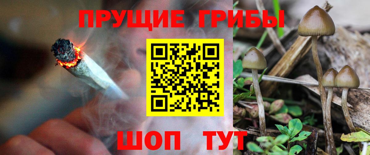 Михайловка  Псилоцибиновые грибы мицелий  Псилоцибиновые грибы мухоморы  купить наркоту  Вход с VPN 