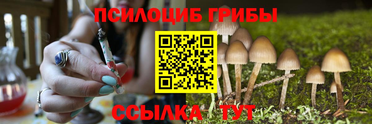 Галлюциногенные грибы GOLDEN TEACHER Михайловка